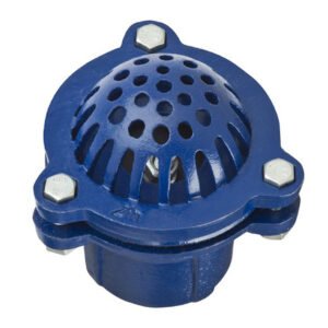 Foot Valve - Couplings/Clamps