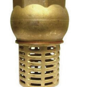 Brass One-Way Check Valve