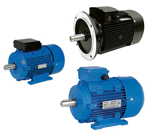 INDUCTION MOTORS Designation Hose