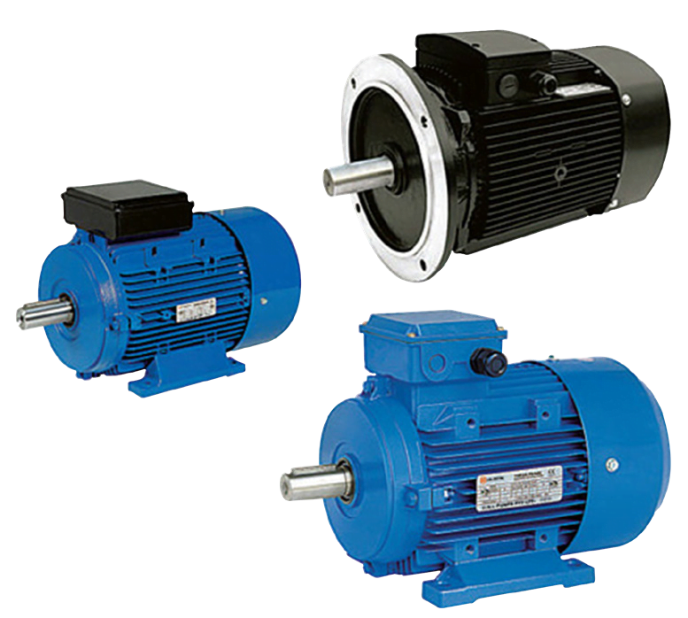 INDUCTION MOTORS Designation Hose